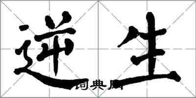 翁闓運逆生楷書怎么寫