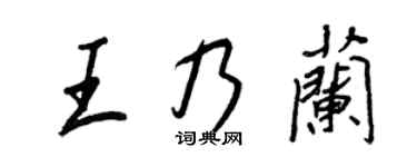 王正良王乃蘭行書個性簽名怎么寫