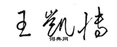 駱恆光王凱博草書個性簽名怎么寫