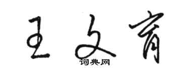 駱恆光王文育草書個性簽名怎么寫