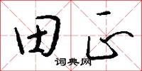田螺的意思_田螺的解釋_國語詞典
