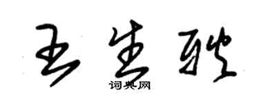 朱錫榮王生耿草書個性簽名怎么寫