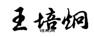 胡問遂王培炯行書個性簽名怎么寫