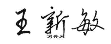 駱恆光王新敏行書個性簽名怎么寫