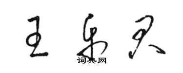 駱恆光王樂君草書個性簽名怎么寫