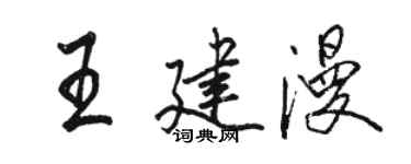 駱恆光王建漫行書個性簽名怎么寫
