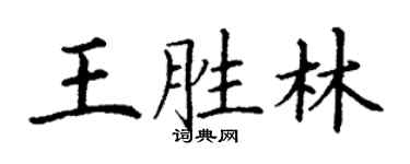 丁謙王勝林楷書個性簽名怎么寫