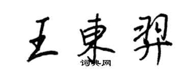 王正良王東羿行書個性簽名怎么寫