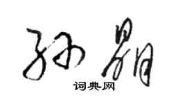 駱恆光孫晶草書個性簽名怎么寫