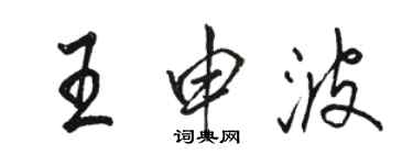 駱恆光王申波行書個性簽名怎么寫