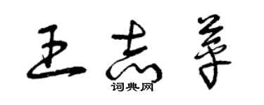 曾慶福王志苹草書個性簽名怎么寫