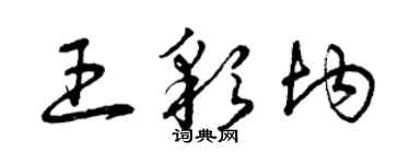 曾慶福王彩均草書個性簽名怎么寫