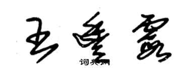 朱錫榮王豐霞草書個性簽名怎么寫