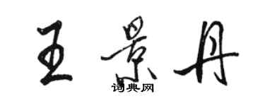 駱恆光王景丹行書個性簽名怎么寫