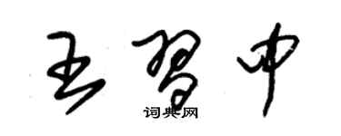 朱錫榮王習中草書個性簽名怎么寫
