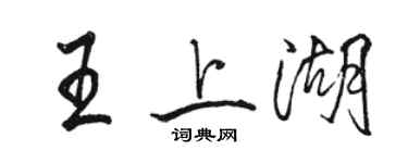 駱恆光王上湖行書個性簽名怎么寫