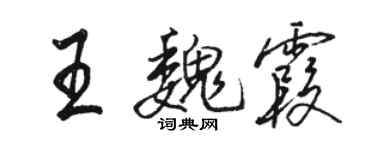 駱恆光王魏霞行書個性簽名怎么寫
