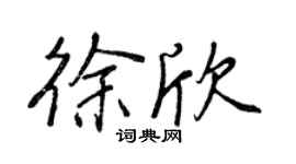 王正良徐欣行書個性簽名怎么寫
