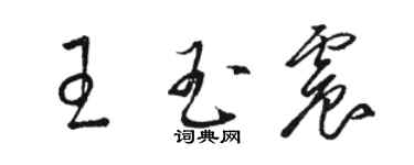 駱恆光王玉震草書個性簽名怎么寫