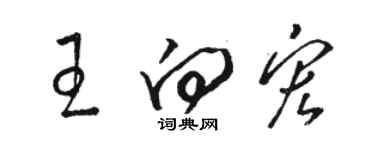 駱恆光王向宏草書個性簽名怎么寫