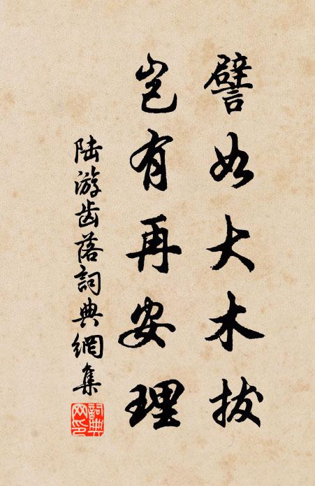 中年後，雖老未成翁 詩詞名句