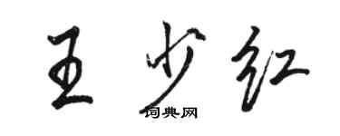 駱恆光王少紅行書個性簽名怎么寫