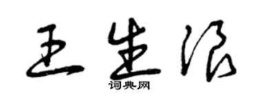 曾慶福王生浪草書個性簽名怎么寫