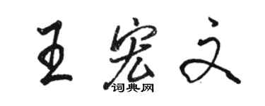 駱恆光王宏文行書個性簽名怎么寫