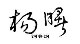 曾慶福楊曙草書個性簽名怎么寫