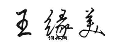 駱恆光王緣美行書個性簽名怎么寫