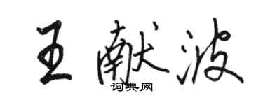 駱恆光王獻波行書個性簽名怎么寫