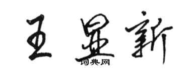 駱恆光王顯新行書個性簽名怎么寫