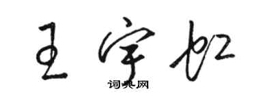 駱恆光王宇虹草書個性簽名怎么寫