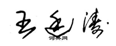 朱錫榮王廷濤草書個性簽名怎么寫