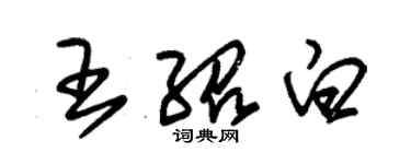 朱錫榮王紹白草書個性簽名怎么寫