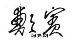 駱恆光鄭賓草書個性簽名怎么寫