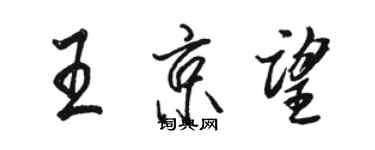 駱恆光王京望行書個性簽名怎么寫