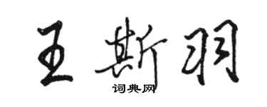 駱恆光王斯羽行書個性簽名怎么寫