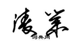 朱錫榮凌業草書個性簽名怎么寫