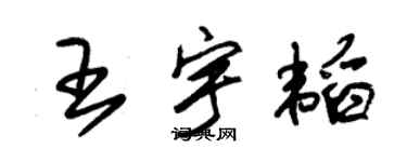 朱錫榮王宇韜草書個性簽名怎么寫