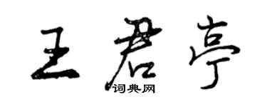 曾慶福王君亭行書個性簽名怎么寫