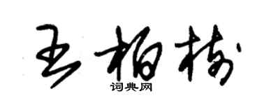 朱錫榮王柏樹草書個性簽名怎么寫