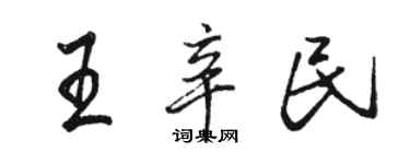 駱恆光王辛民行書個性簽名怎么寫