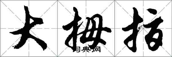 胡問遂大拇指行書怎么寫