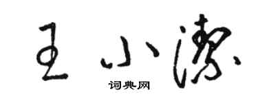 駱恆光王小潔草書個性簽名怎么寫