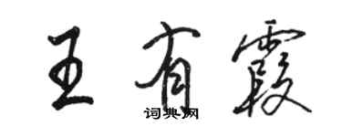 駱恆光王有霞行書個性簽名怎么寫