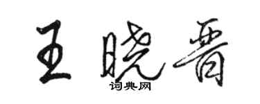 駱恆光王曉晉行書個性簽名怎么寫