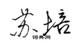 駱恆光蘇培行書個性簽名怎么寫