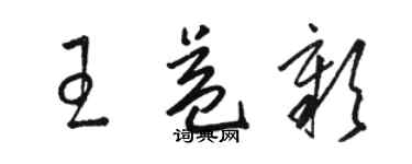 駱恆光王益彰草書個性簽名怎么寫