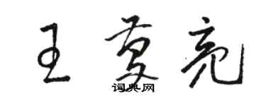 駱恆光王慶亮草書個性簽名怎么寫